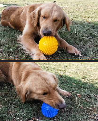 Squeaking SpikeBall