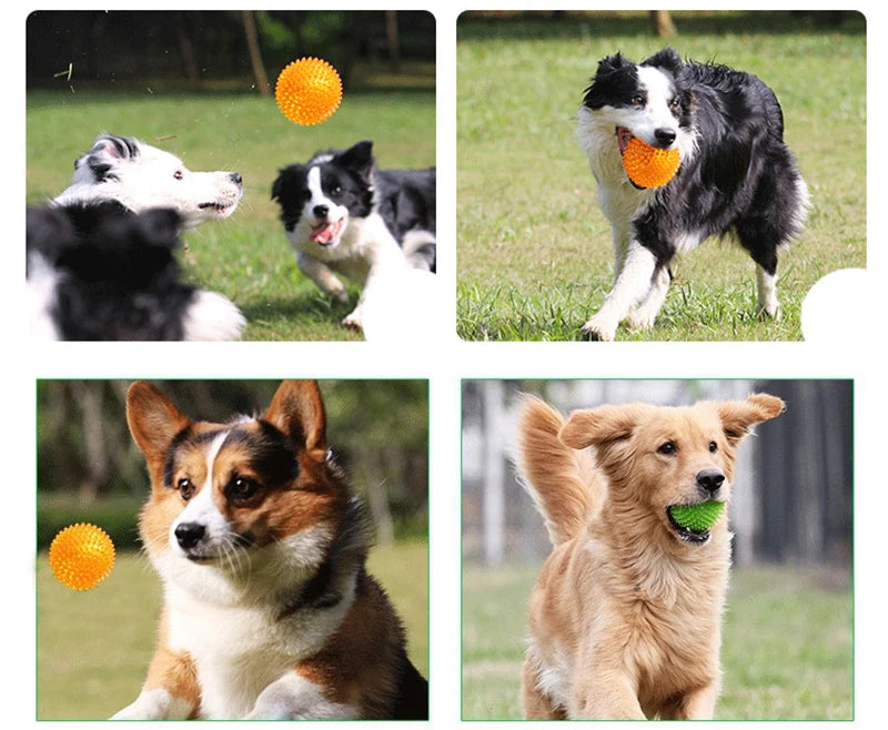 Squeaking SpikeBall